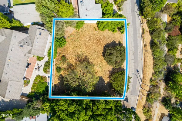 a view of a small garden