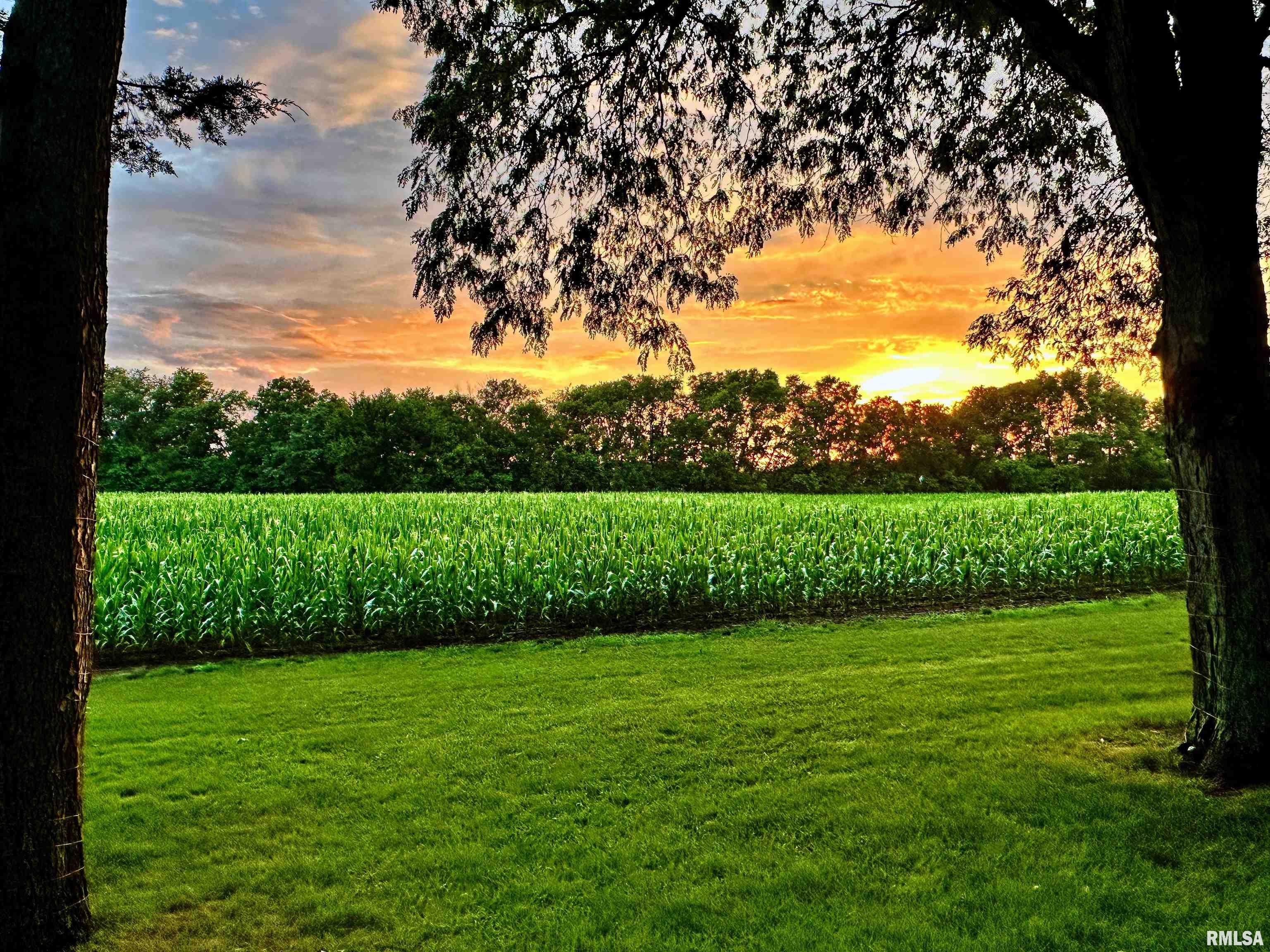 3628 East Westbrook Road Chillicothe, IL 61523 - Photo 62 of 68 Gallery Image 62