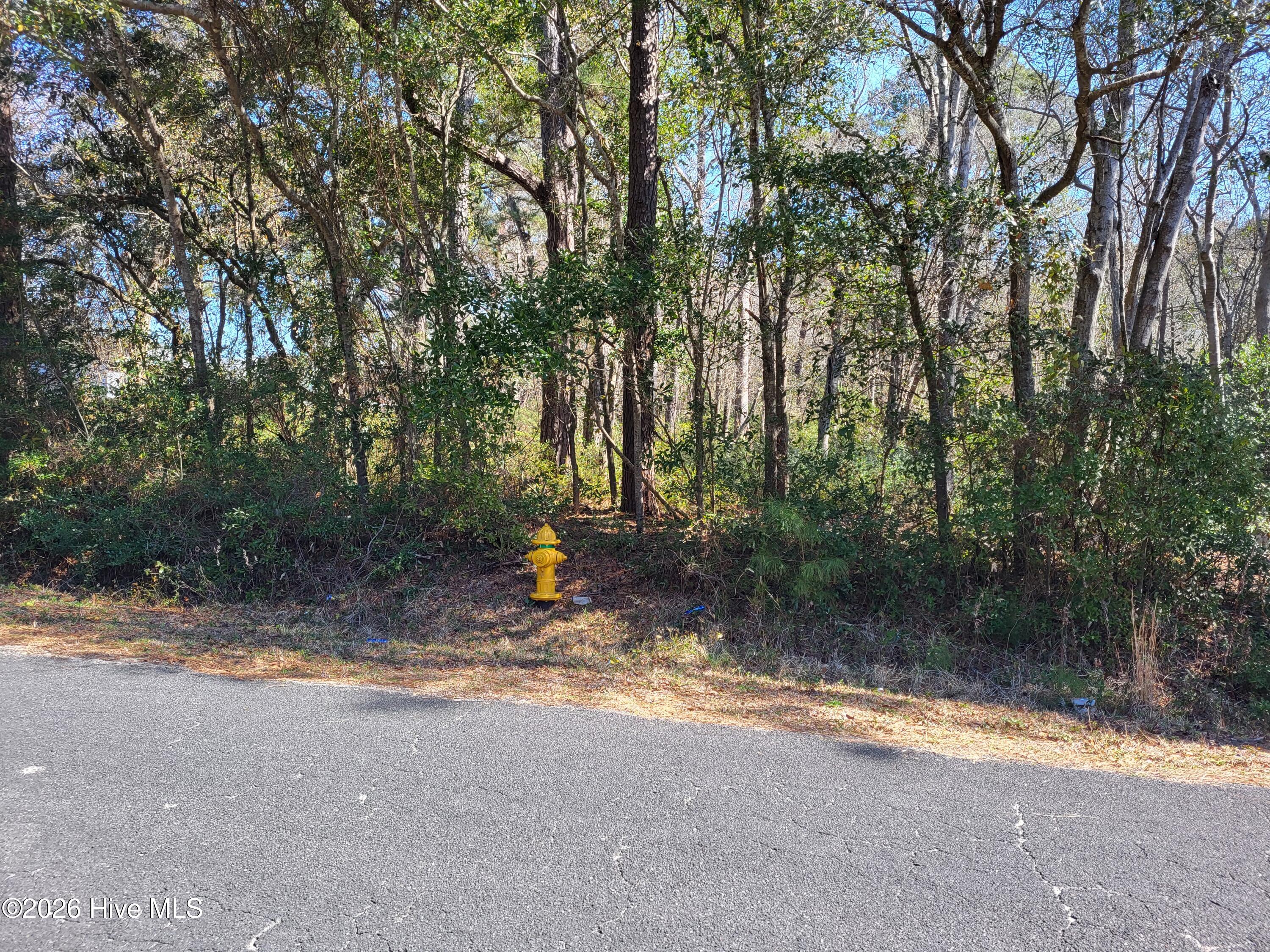 Shell Landing 3.9 Acre road frontage wit