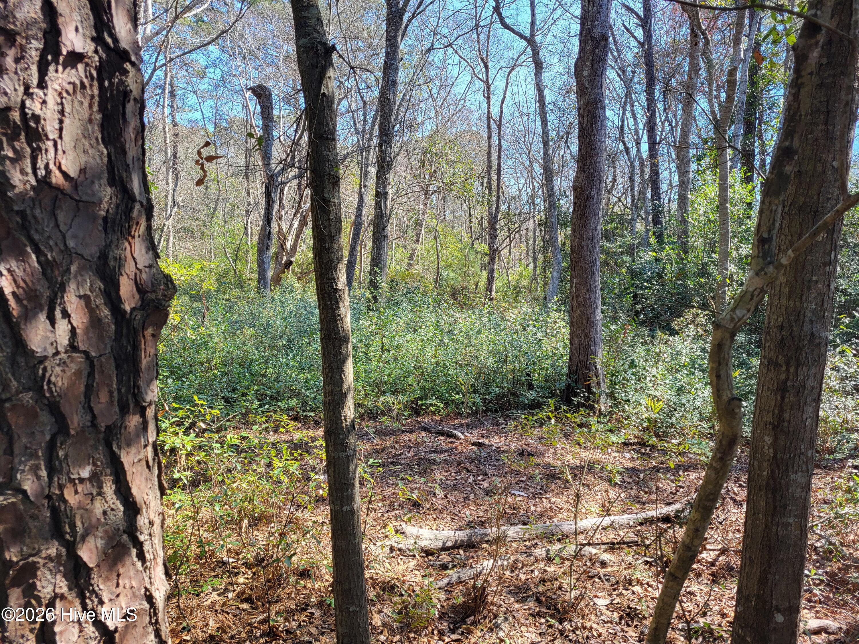 2836 Shell Landing Road Southwest Supply, NC 28462 - Photo 2 of 5 Shell Landing 3.9 Acre