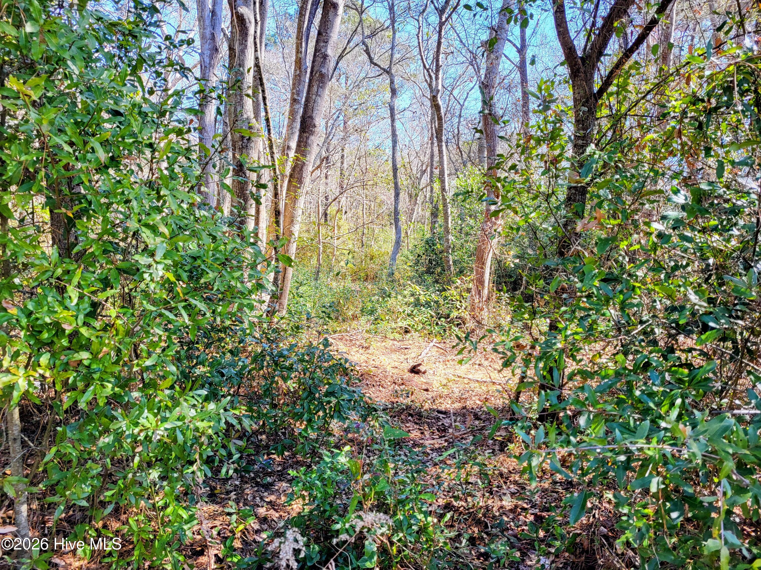 2836 Shell Landing Road Southwest Supply, NC 28462 - Photo 5 of 5 Shell Landing 3.9 Acre #5