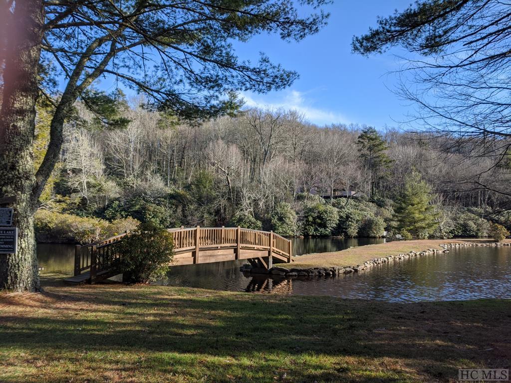 155 Pheasant Run Road Highlands, NC 28741 - Photo 22 of 22 Gallery Image 22