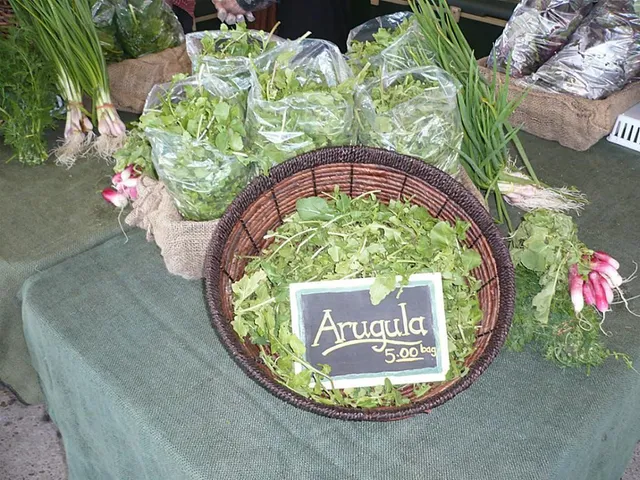 $1,750 | 135 1st Street, Sugar Land, TX 77498