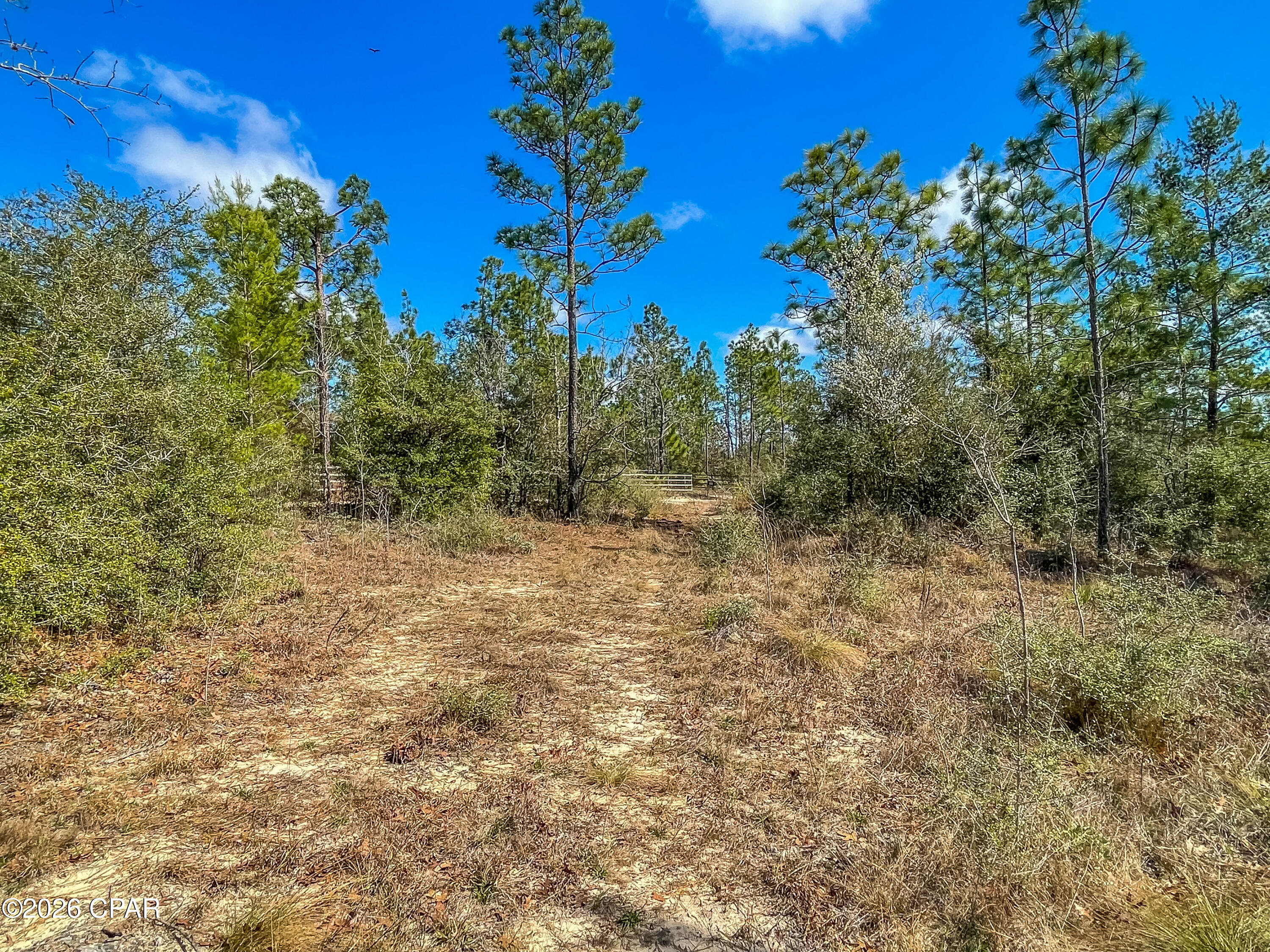 4303 Twin Ponds Road Marianna, FL 32448 - Photo 11 of 24