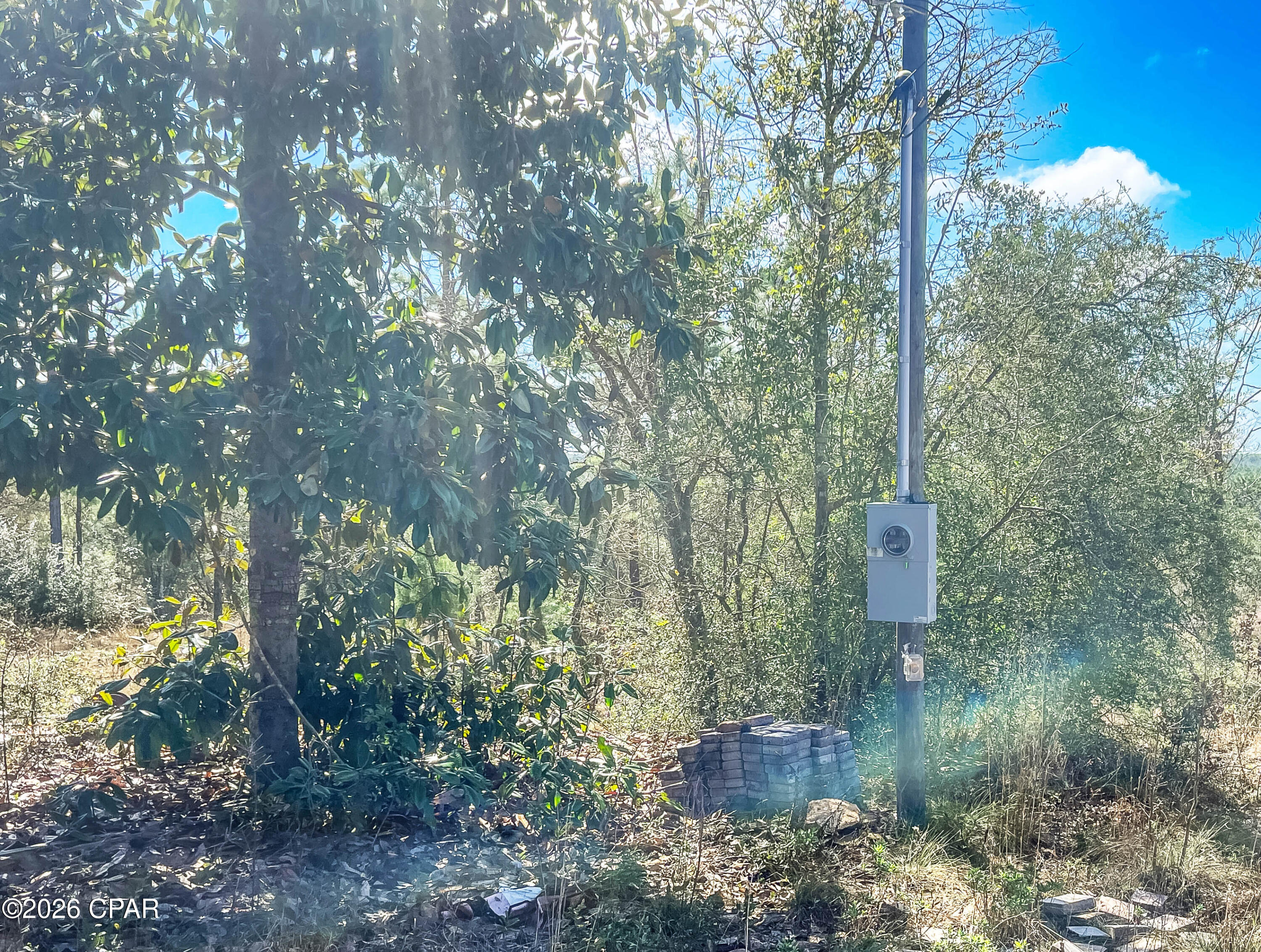 4303 Twin Ponds Road Marianna, FL 32448 - Photo 14 of 24