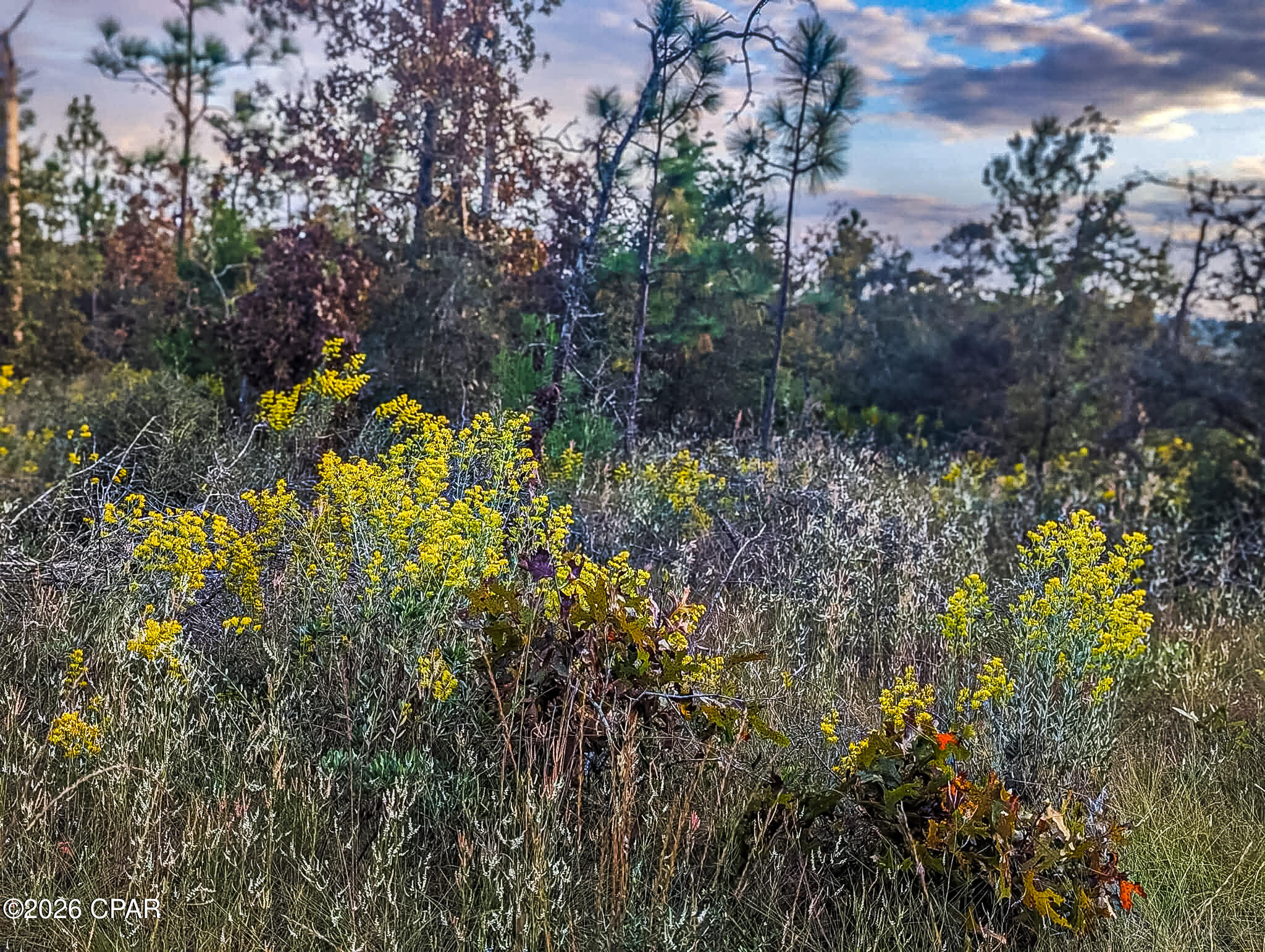 4303 Twin Ponds Road Marianna, FL 32448 - Photo 19 of 24