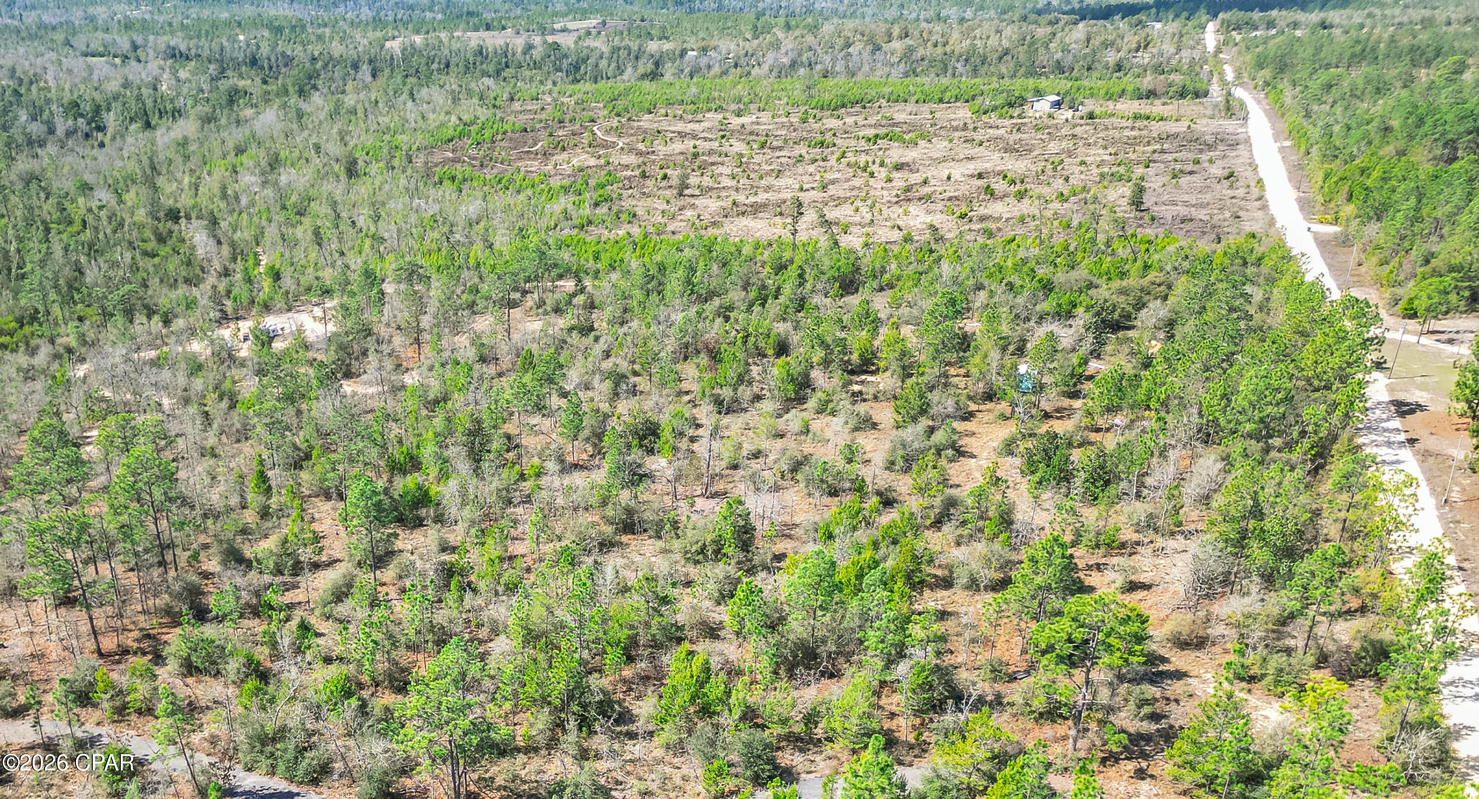 4303 Twin Ponds Road Marianna, FL 32448 - Photo 3 of 24