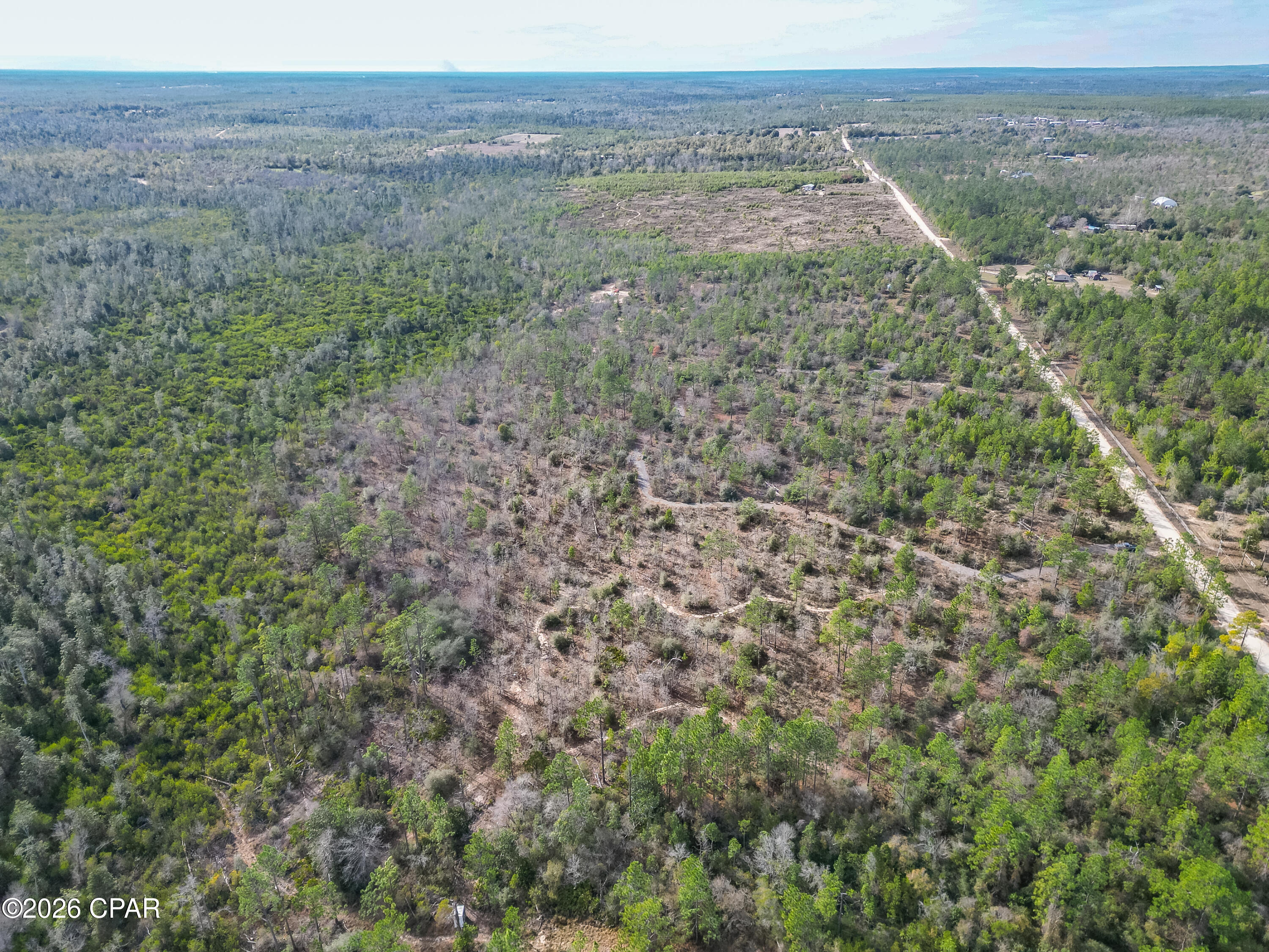 4303 Twin Ponds Road Marianna, FL 32448 - Photo 5 of 24