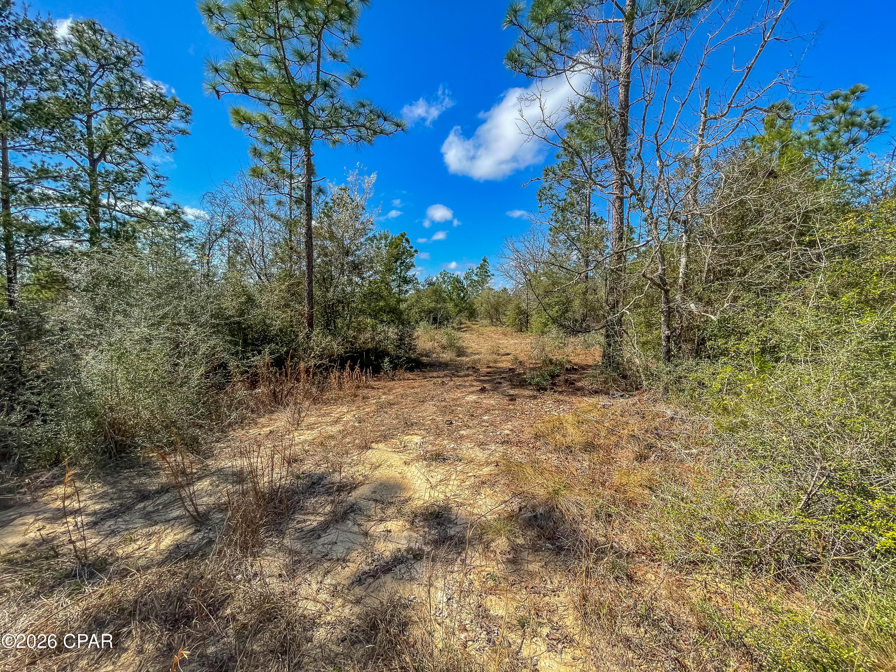 4303 Twin Ponds Road Marianna, FL 32448 - Photo 9 of 24