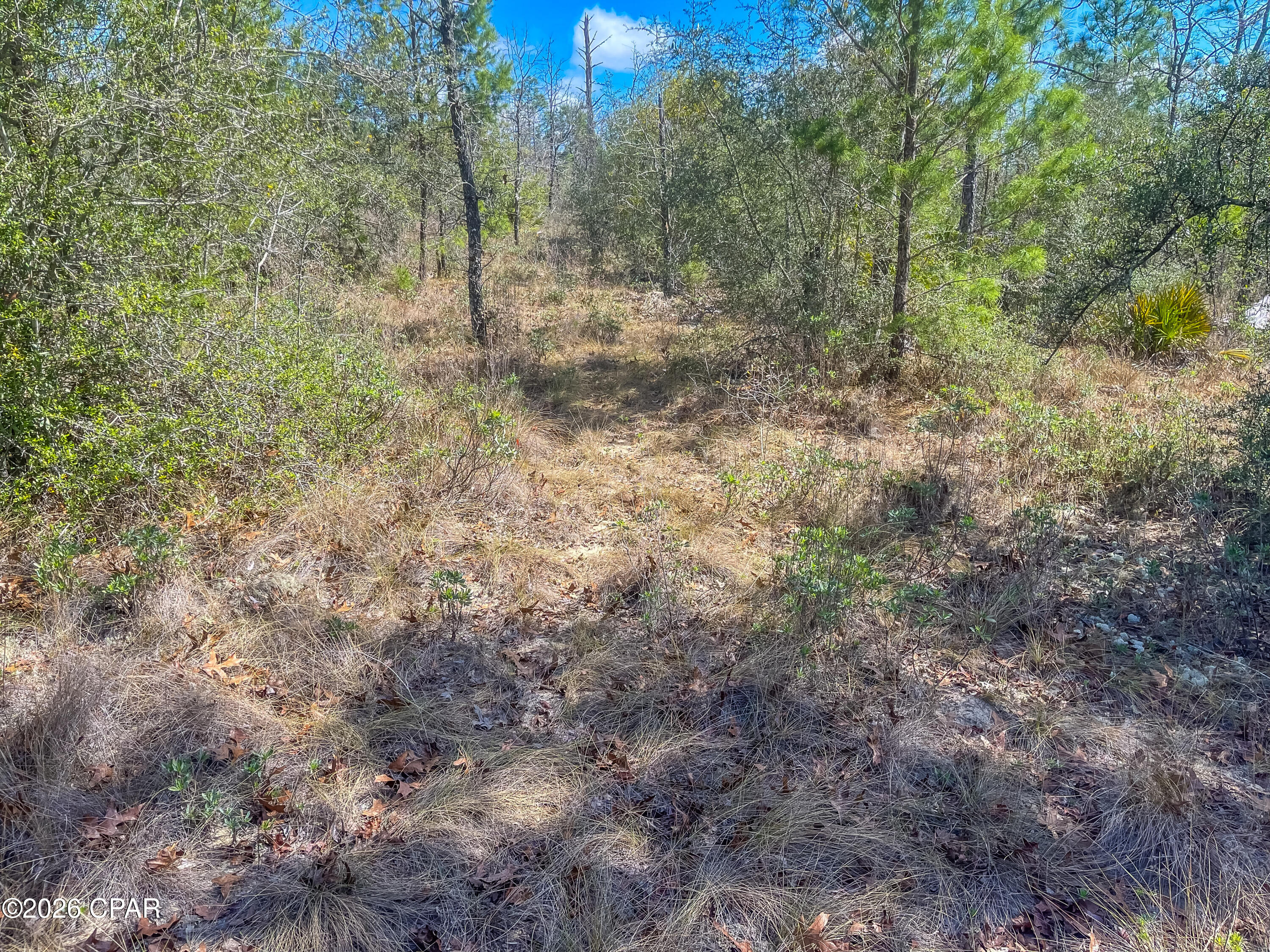 4303 Twin Ponds Road Marianna, FL 32448 - Photo 10 of 24