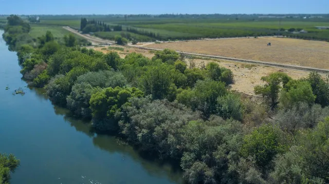 an aerial view of residential houses with outdoor space and trees