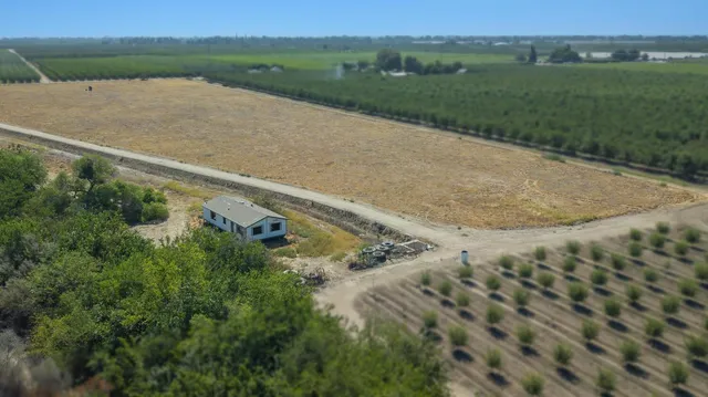 a view of a field with a tree in the background