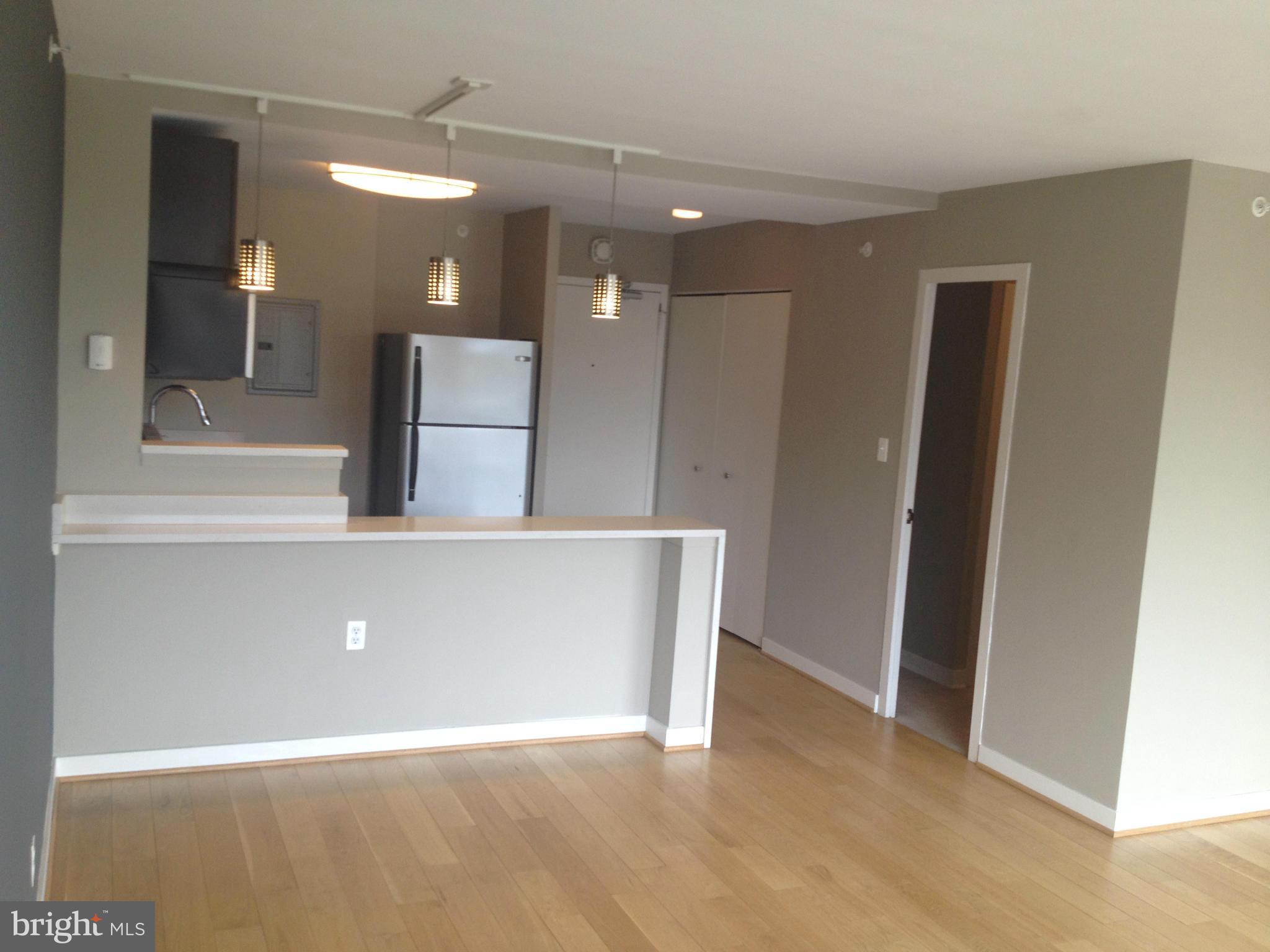 1101 3rd Street Southwest, Unit 210 Washington, DC 20024 - Photo 11 of 28 a view of a hallway with wooden floor