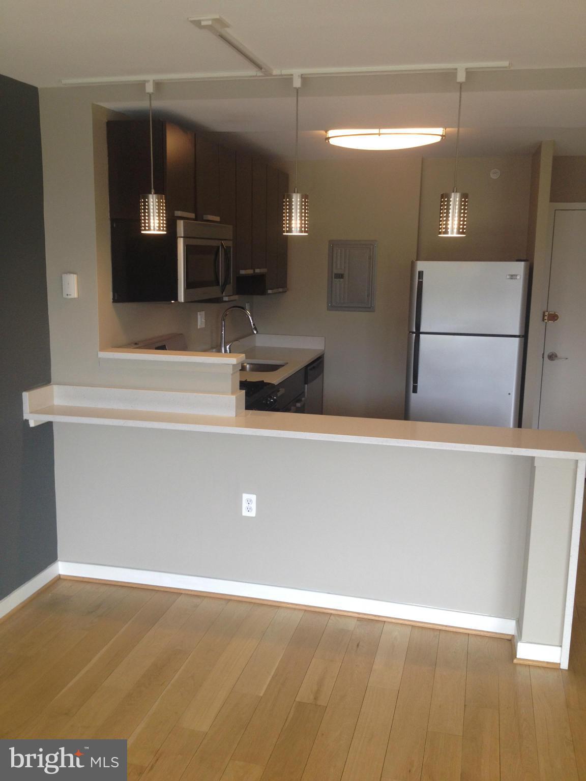 1101 3rd Street Southwest, Unit 210 Washington, DC 20024 - Photo 10 of 28 a view of a hallway with wooden floor and a large mirror