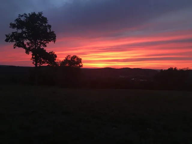 $1,450,000 | 2303 Lewisburg Highway, Fayetteville, TN 37334