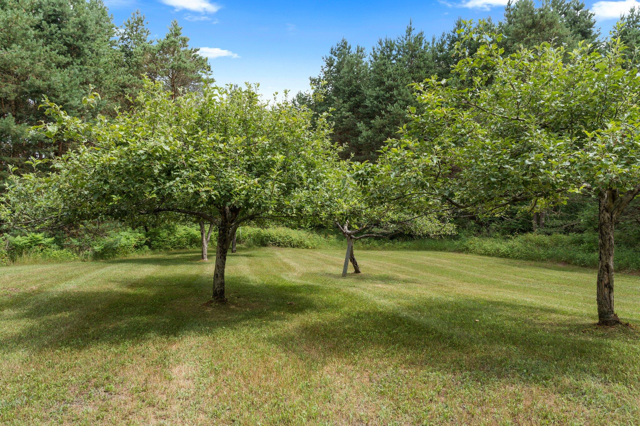 4664 South Frank Smith Road Chase, MI 49623 - Photo 42 of 55 36-web-or-mls-DSC00079