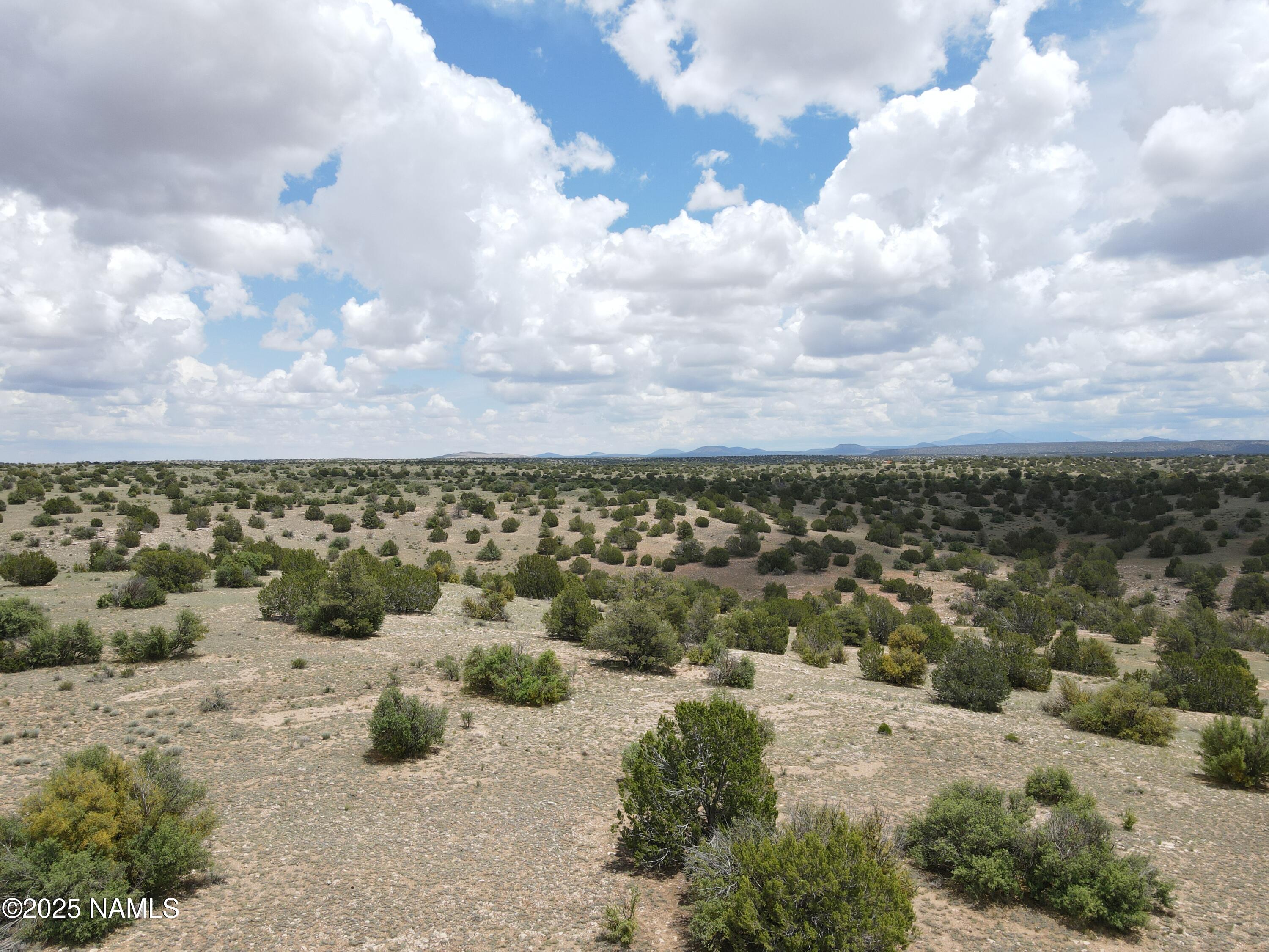 8834 Northstar Road Williams, AZ 86046 - Photo 10 of 33 DJI_0285