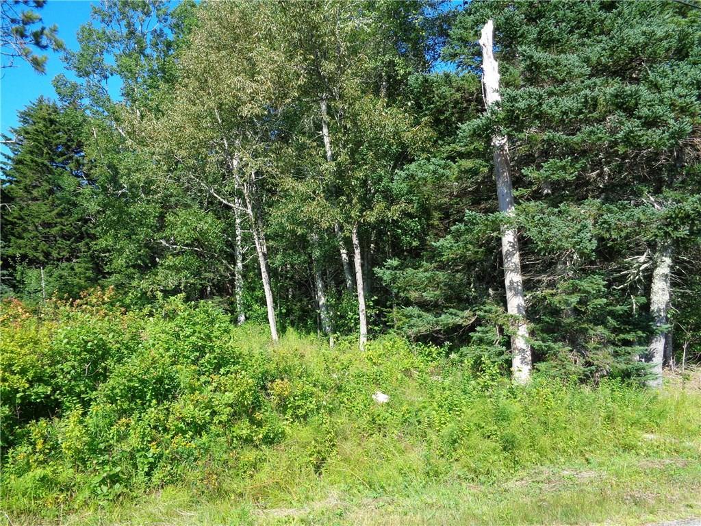 0 Ficketts Point Road Milbridge, ME 04658 - Photo 14 of 17 Photo