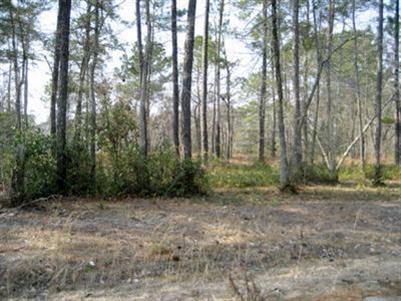 699 Stone Ridge Road Southwest Supply, NC 28462 - Photo 5 of 9 Additional Photo