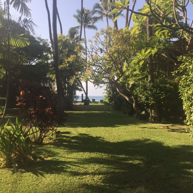 3559 Lower Honoapiilani Road, Unit 718 Lahaina, HI 96761 - Photo 2 of 23 a view of a golf course with a lake
