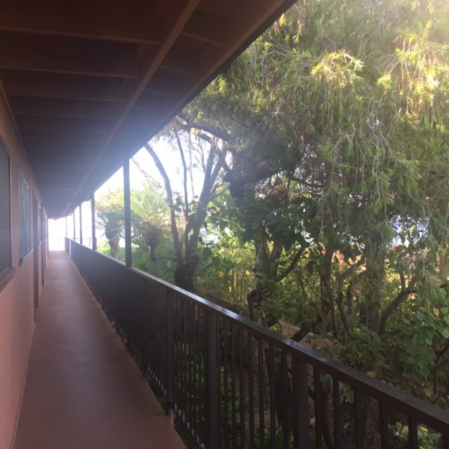 3559 Lower Honoapiilani Road, Unit 718 Lahaina, HI 96761 - Photo 23 of 23 a balcony with wooden floor and yard in the back