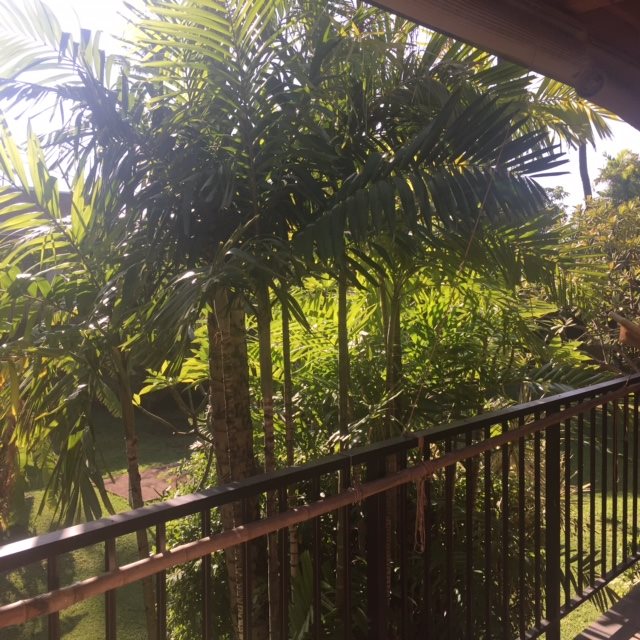 3559 Lower Honoapiilani Road, Unit 718 Lahaina, HI 96761 - Photo 6 of 23