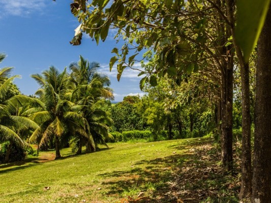 7595 Koolau Road, Unit A Kilauea, HI 96754 - Photo 5 of 16