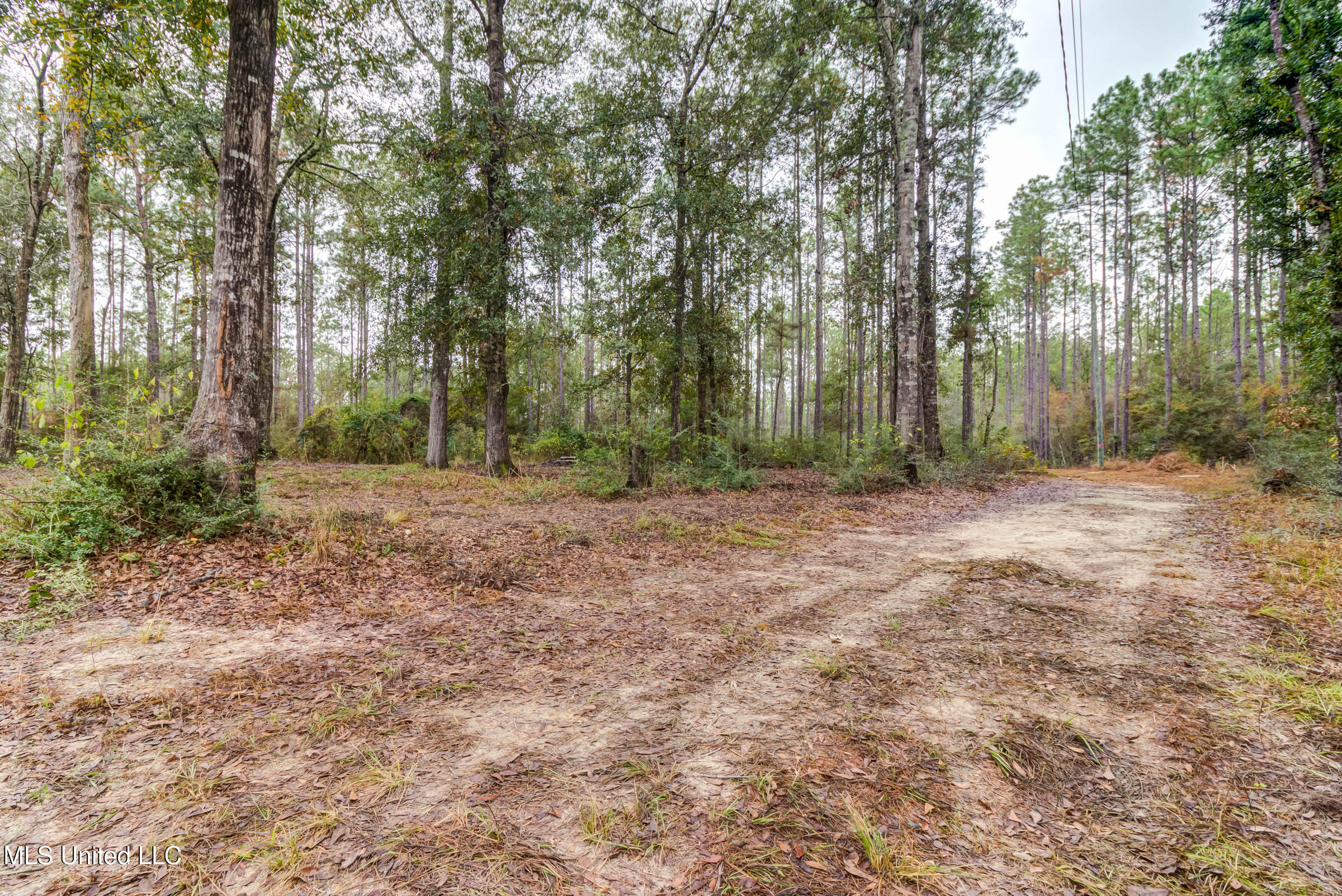 163B Burnis Havard Road, Unit B Perkinston, MS 39573 - Photo 33 of 59 163B Burnis Havard (49)