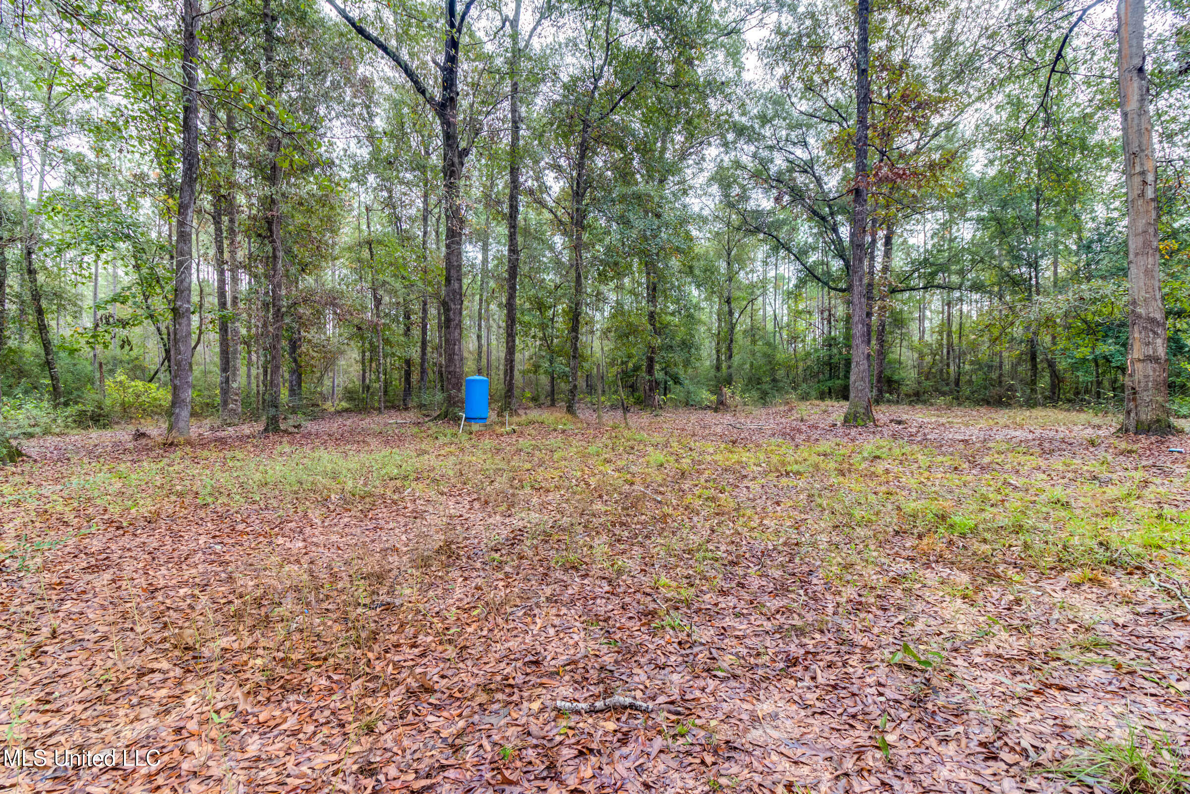163B Burnis Havard Road, Unit B Perkinston, MS 39573 - Photo 38 of 59 163B Burnis Havard (54)