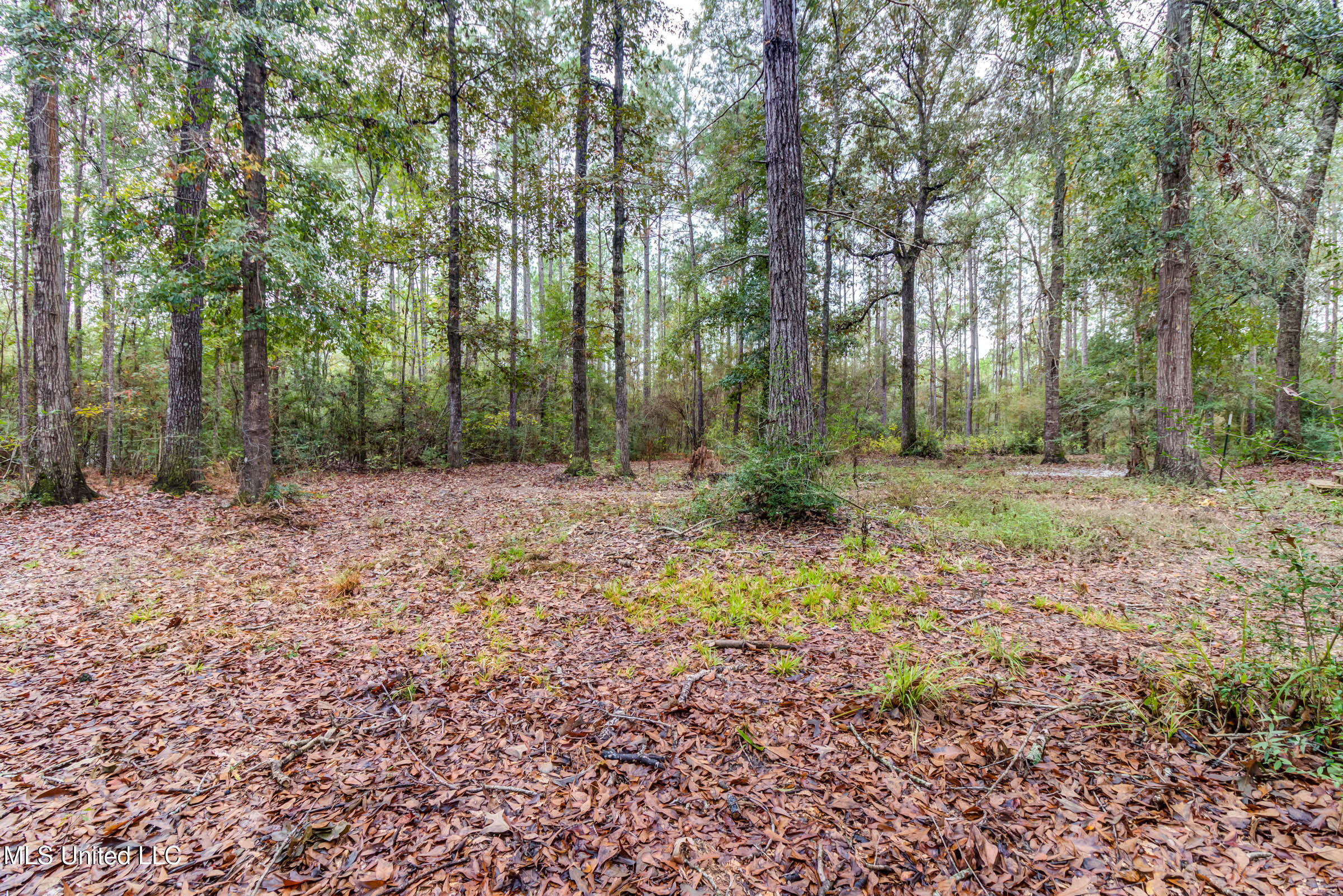 163B Burnis Havard Road, Unit B Perkinston, MS 39573 - Photo 39 of 59 163B Burnis Havard (55)