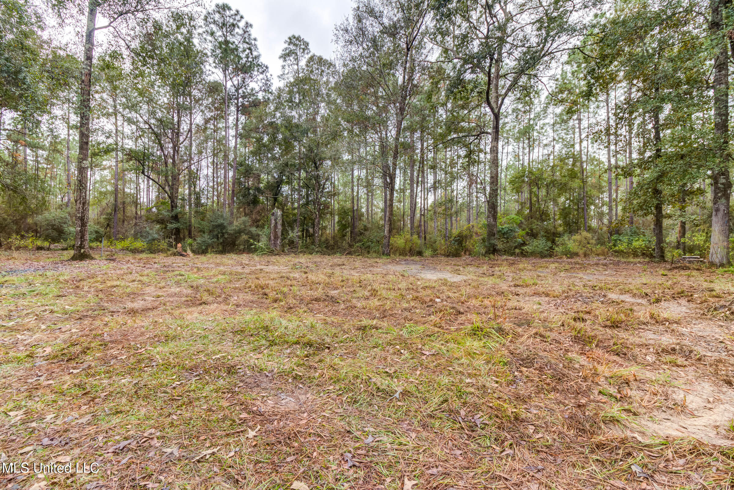 163B Burnis Havard Road, Unit B Perkinston, MS 39573 - Photo 43 of 59 163B Burnis Havard (59)