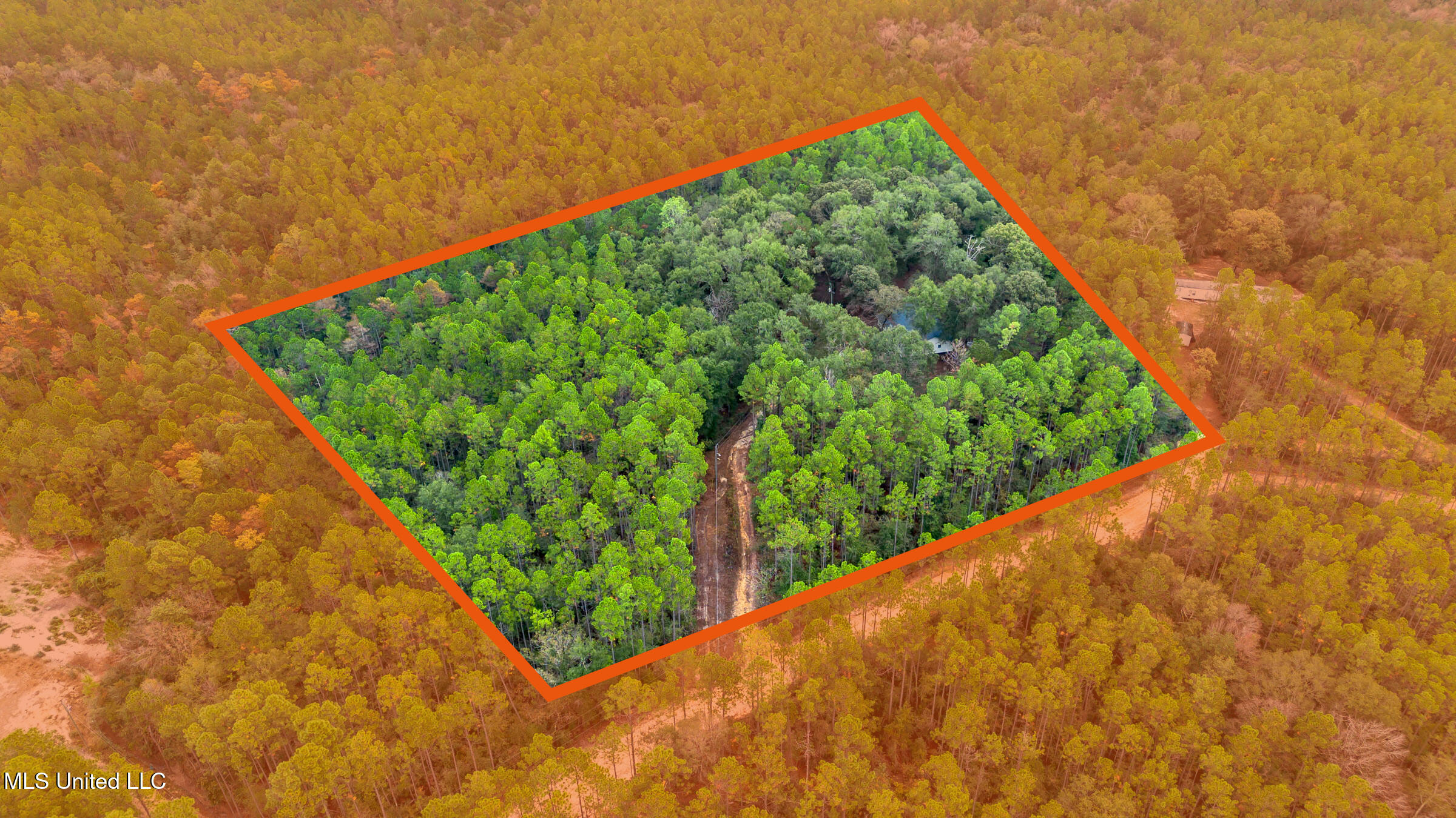 163B Burnis Havard Road, Unit B Perkinston, MS 39573 - Photo 54 of 59 163B Burnis Havard (14)