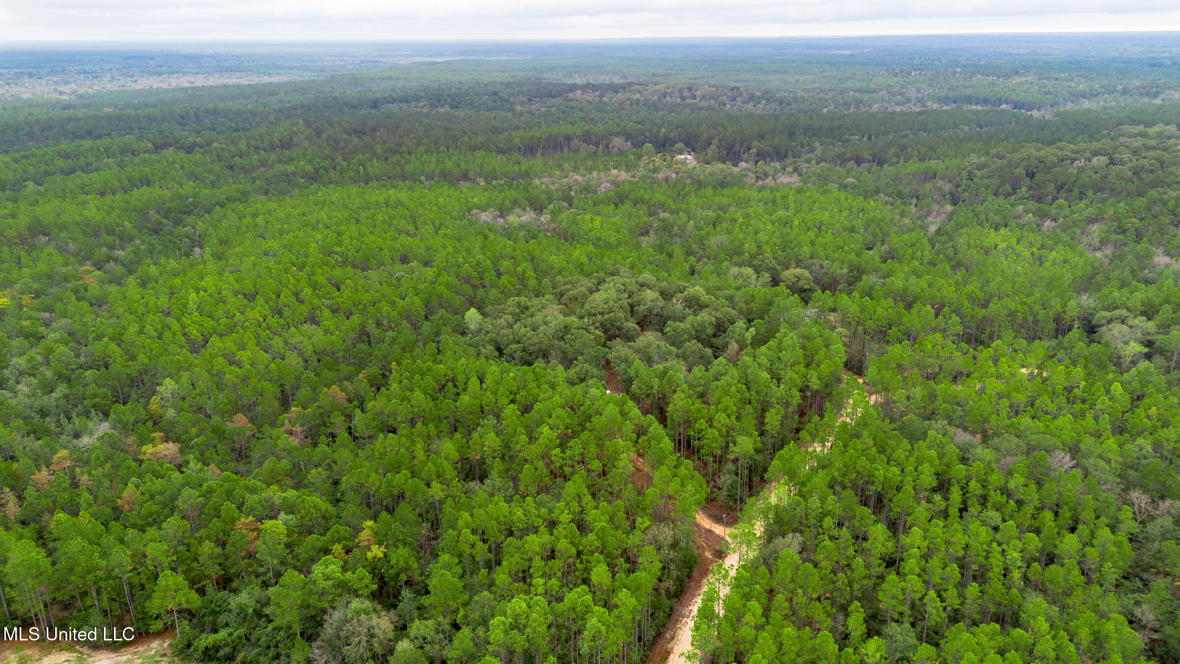 163B Burnis Havard Road, Unit B Perkinston, MS 39573 - Photo 57 of 59 163B Burnis Havard (17)