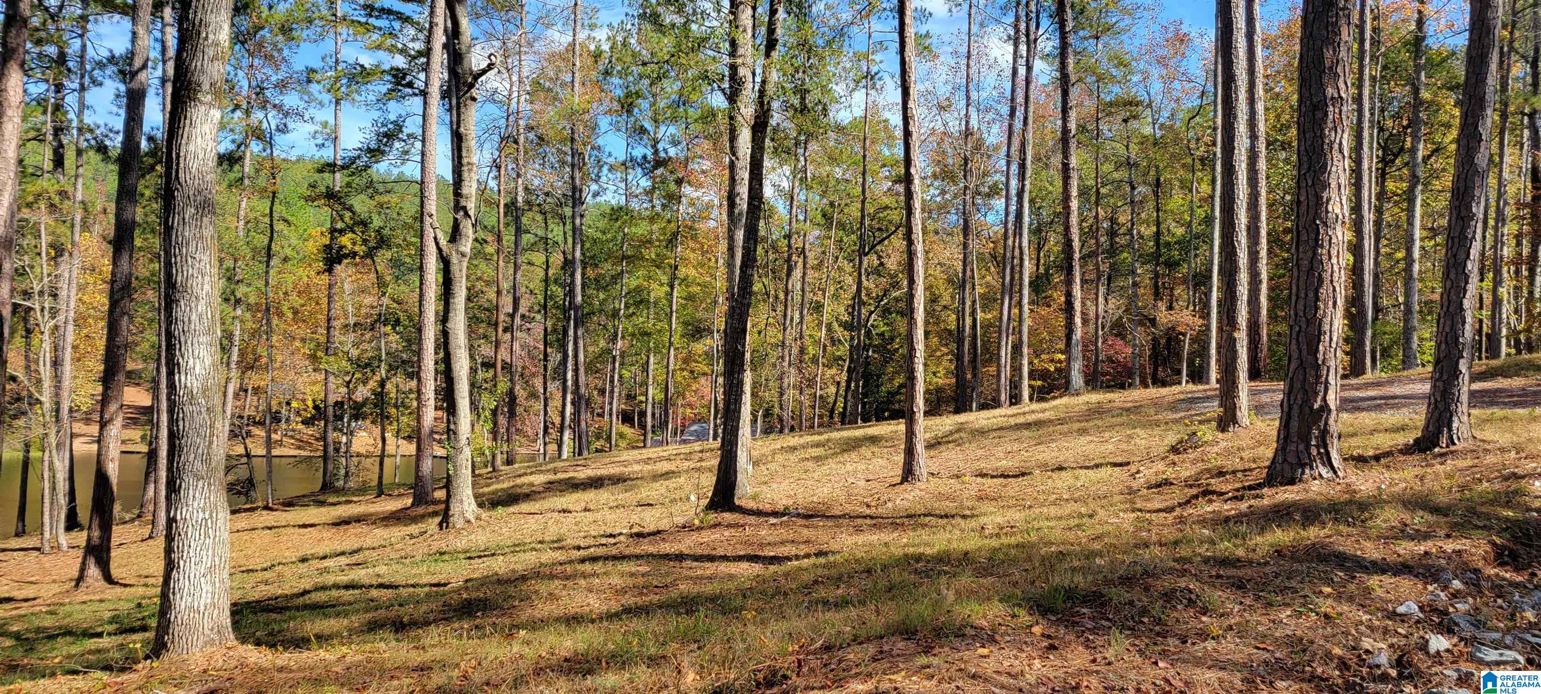 1830 Mimosa Point Road, Unit 5 Rockford, AL 35136 - Photo 11 of 25