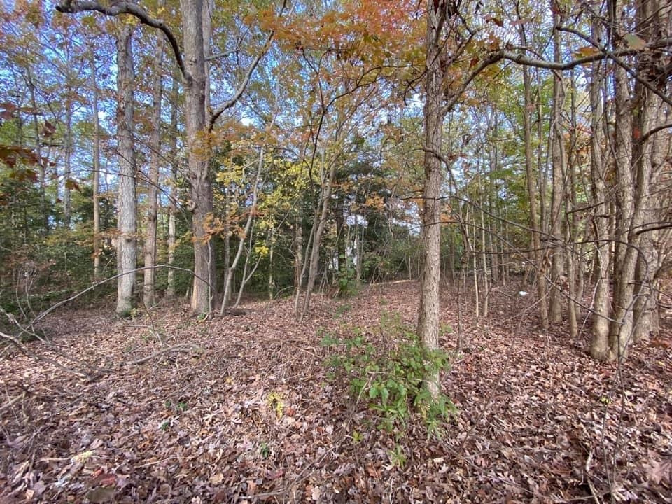 4511 Buffaloe Road Raleigh, NC 27616 - Photo 9 of 18 Photo 9
