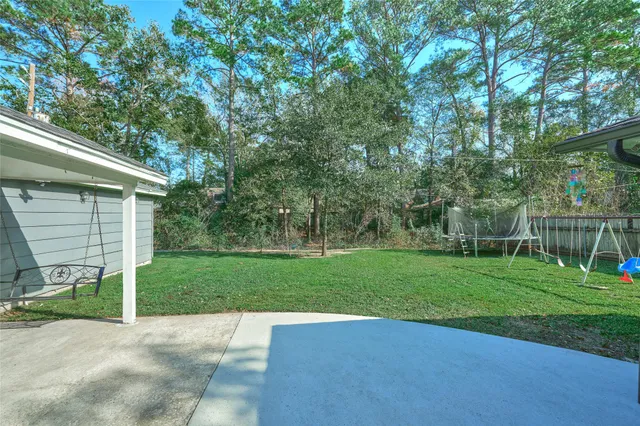 a view of a yard with plants and large trees