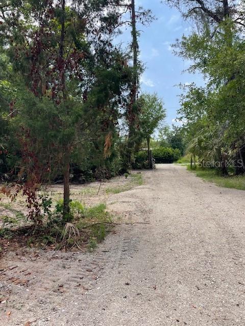 567 Harney Heights Road Geneva, FL 32732 - Photo 23 of 30 Gallery Image 23