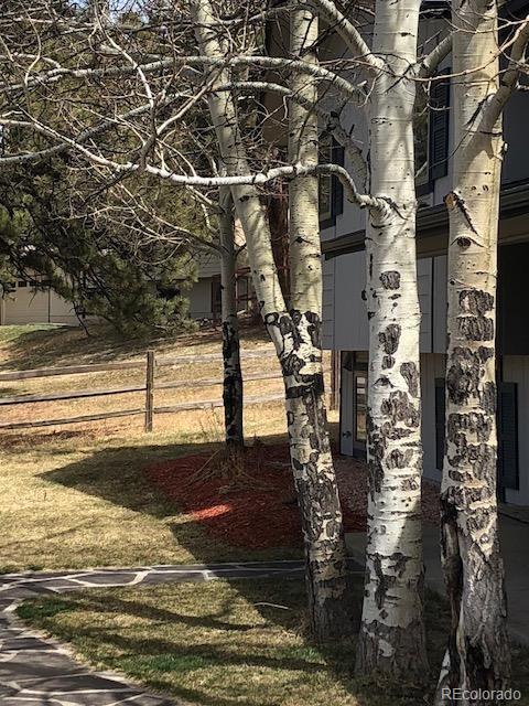 27646 Hi View Road Evergreen, CO 80439 - Photo 26 of 31 Gallery Image 26