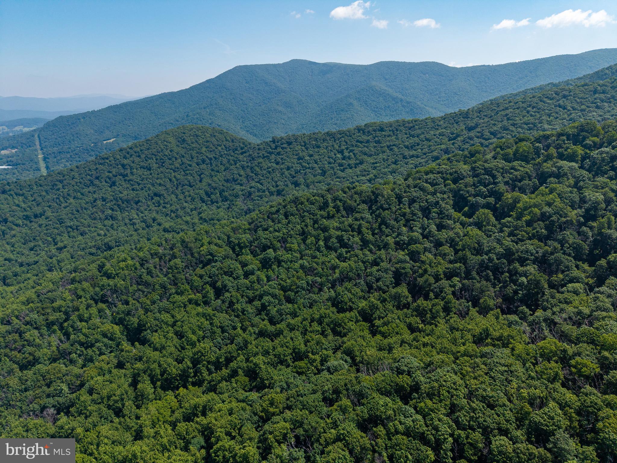 0 Helms Road Stanley, VA 22851 - Photo 14 of 50