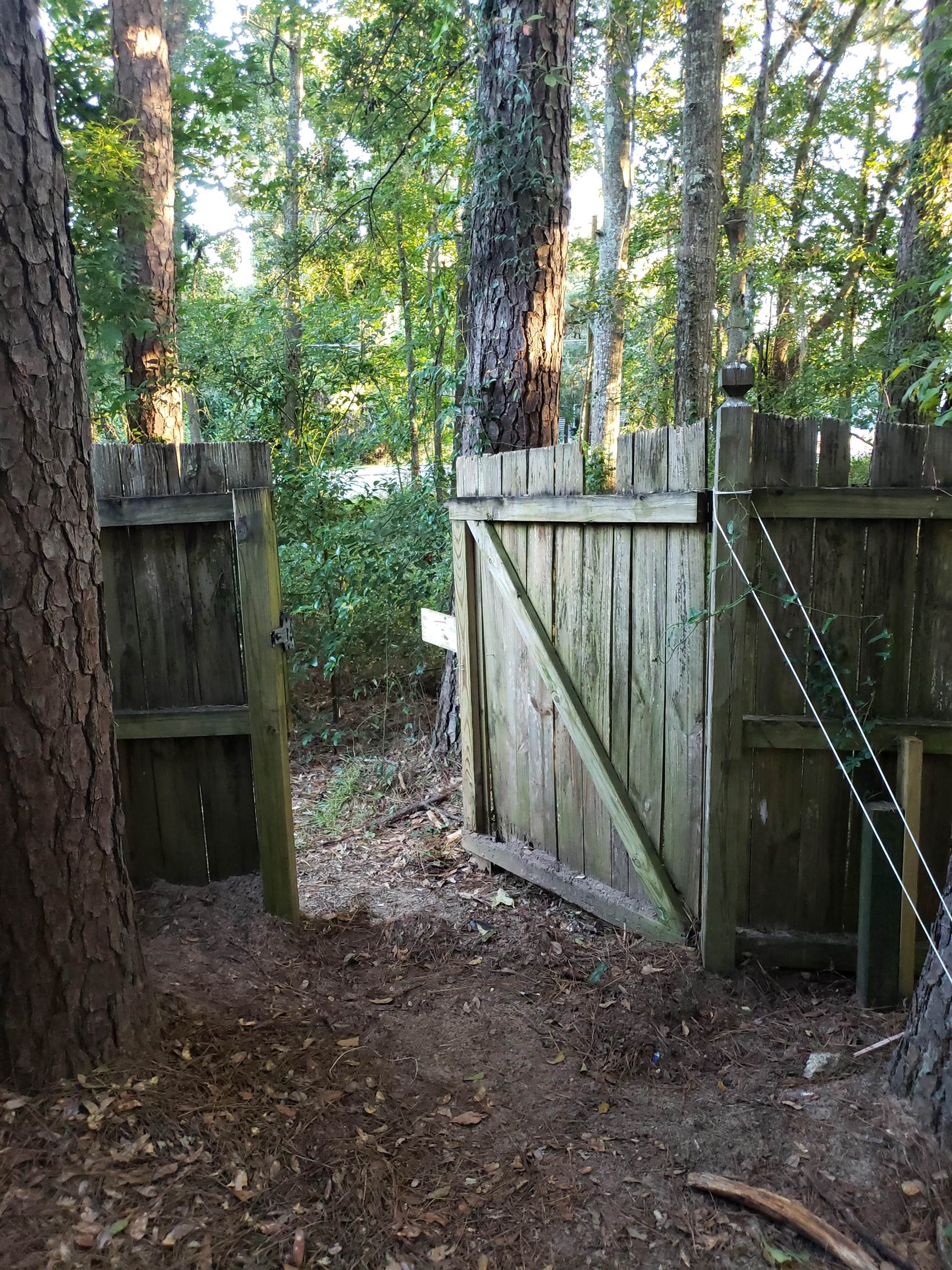 2906 Grady Road Tallahassee, FL 32312 - Photo 20 of 26 Gallery Image 20
