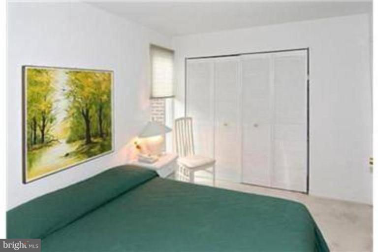 12409 Timber Grove Road Owings Mills, MD 21117 - Photo 13 of 19 Bedroom #4