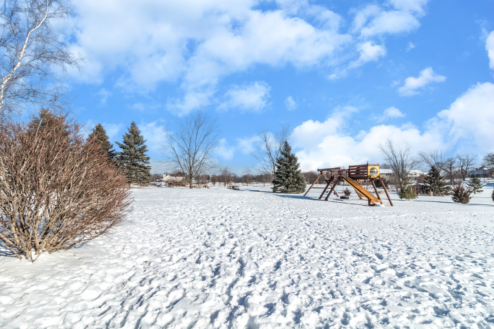 8306 Heather Ridge Spring Grove, IL 60081 - Photo 41 of 43 a view of a yard covered in snow