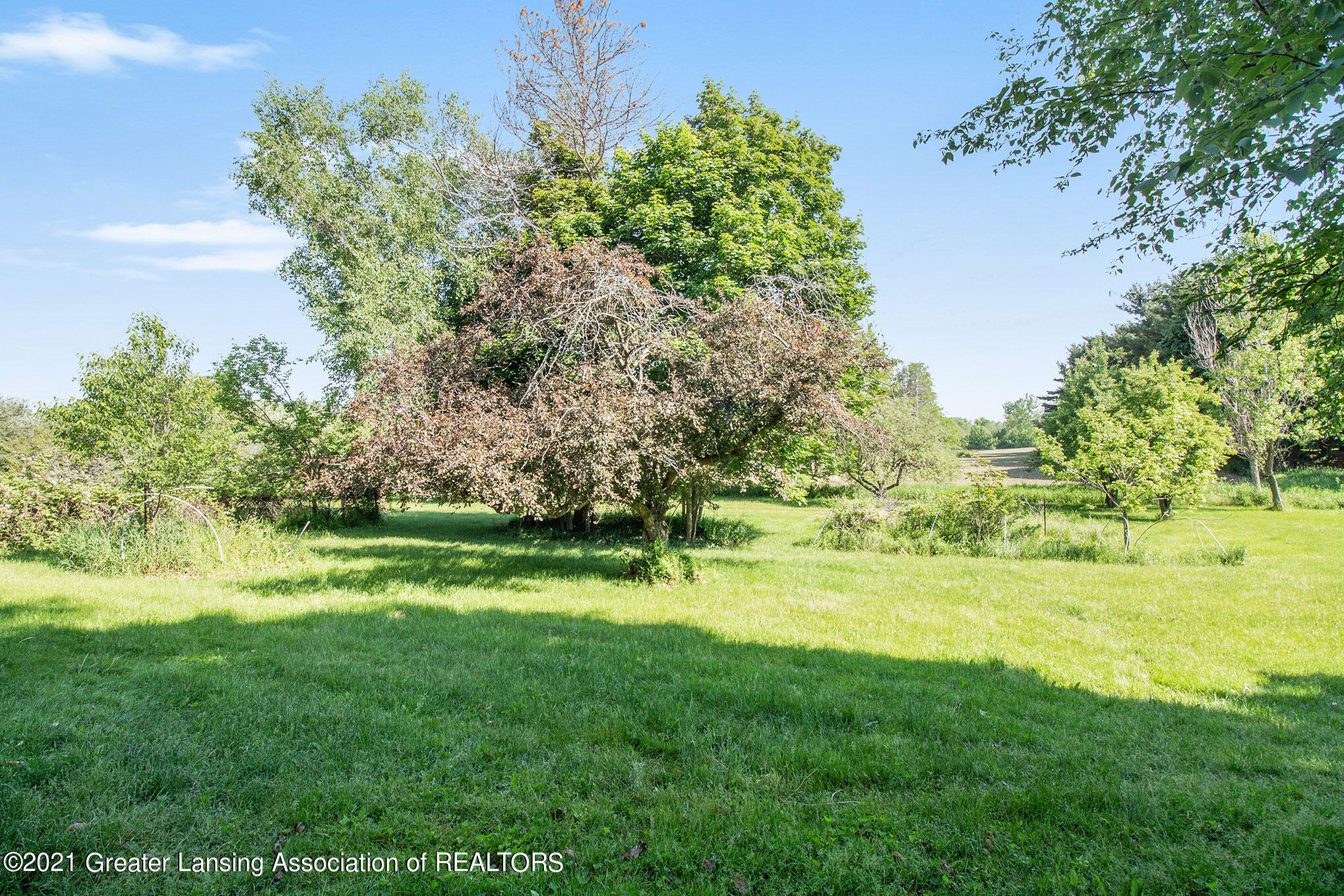 4550 Harper Road Holt, MI 48842 - Photo 25 of 35 IMG_9648