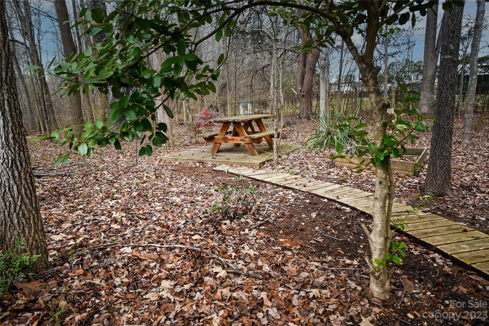 2965 Greenleaf Road Clover, SC 29710 - Photo 10 of 30 a view of a yard with large trees