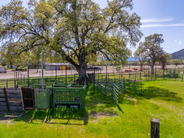 a view of a mountain range with trees