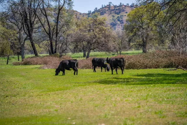 $2,950,000 | 359 County Road 306, Elk Creek, CA 95939