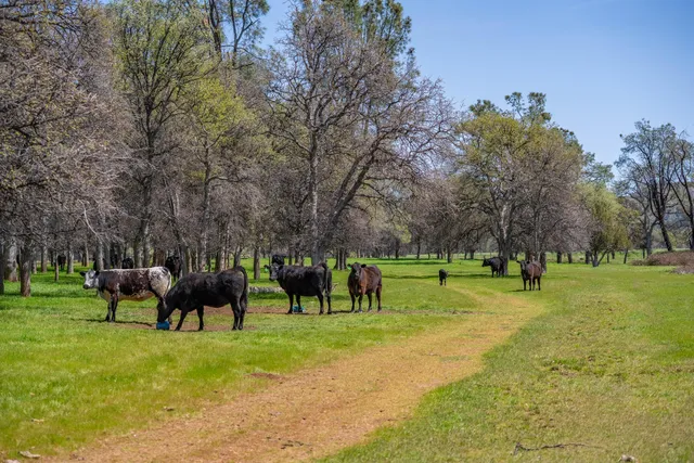 $2,950,000 | 359 County Road 306, Elk Creek, CA 95939