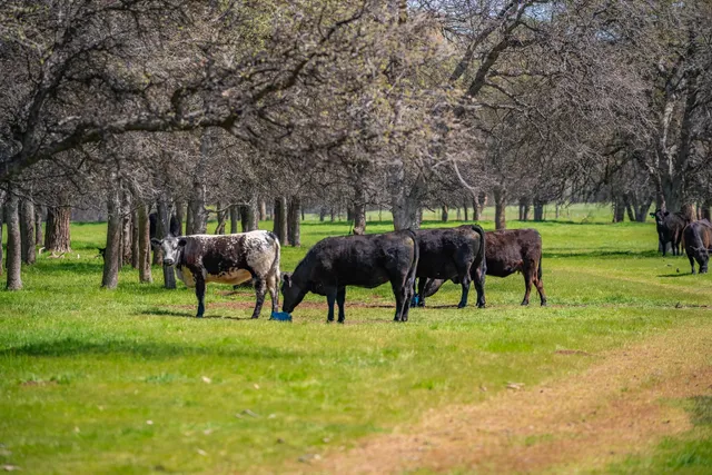 a view of living room with furniture and a window