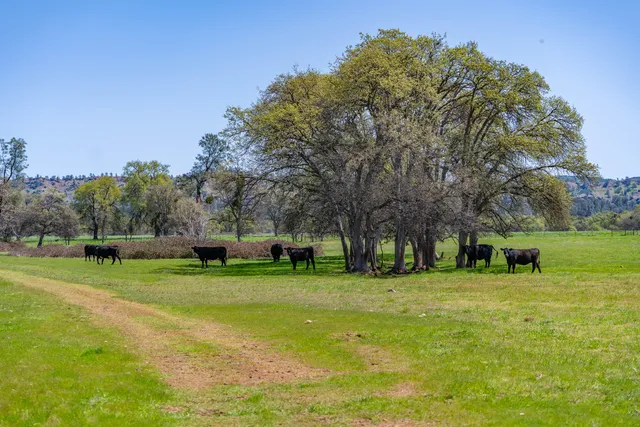 $2,950,000 | 359 County Road 306, Elk Creek, CA 95939