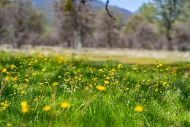 $2,950,000 | 359 County Road 306, Elk Creek, CA 95939